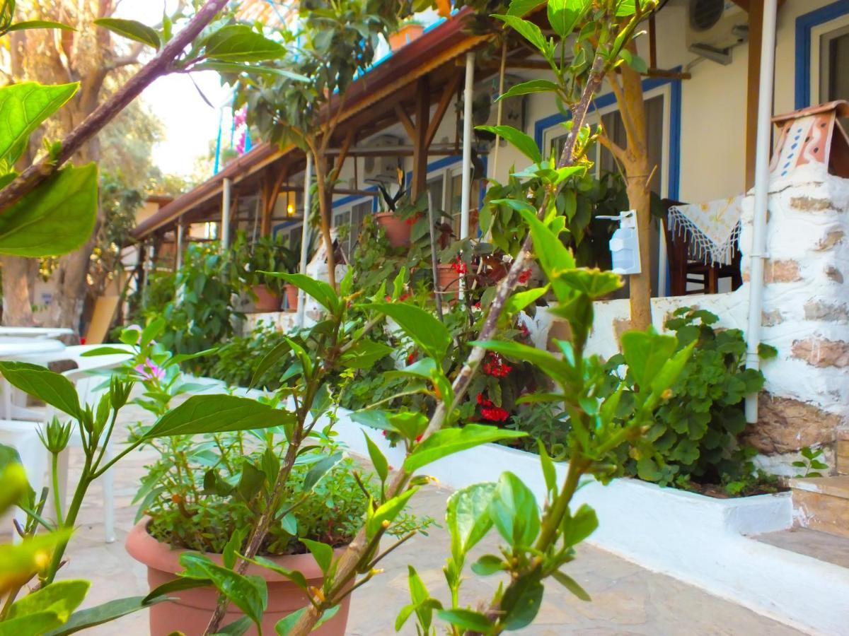 Aphrodite Hotel בוזבורון מראה חיצוני תמונה