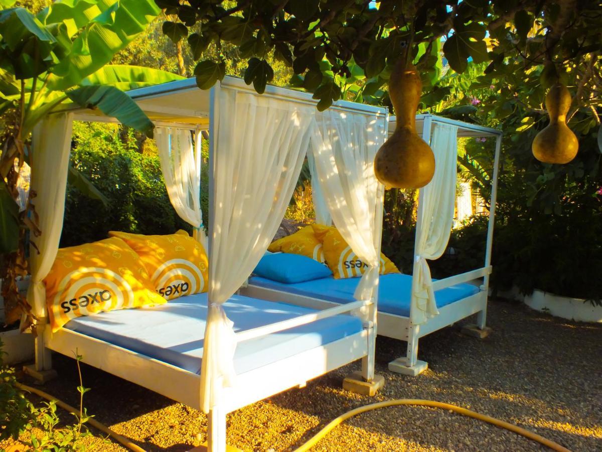 Aphrodite Hotel בוזבורון מראה חיצוני תמונה