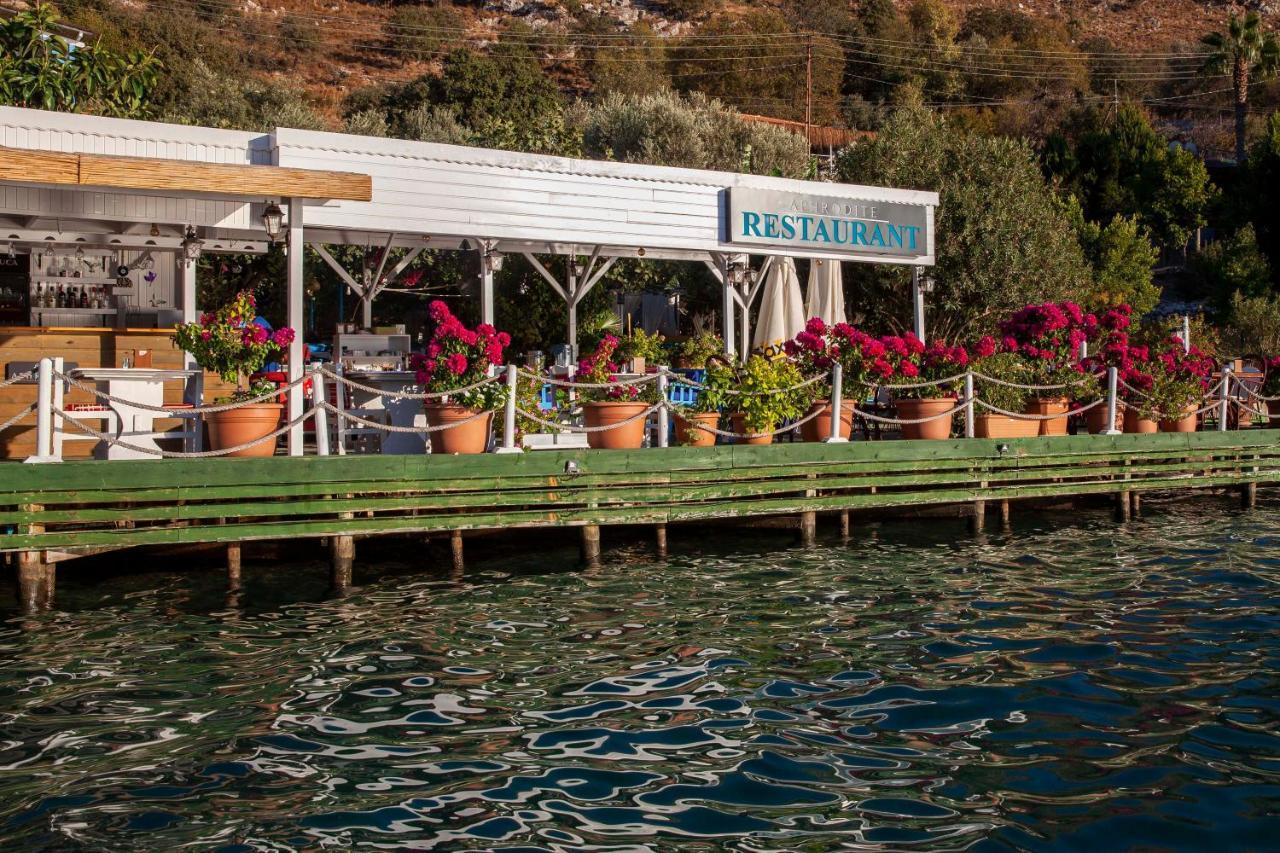 Aphrodite Hotel בוזבורון מראה חיצוני תמונה