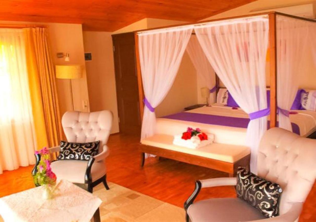 Aphrodite Hotel בוזבורון מראה חיצוני תמונה