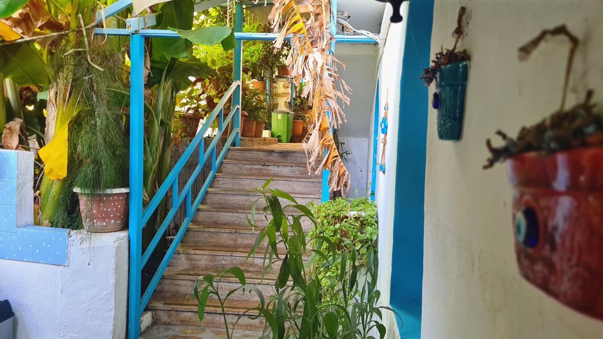 Aphrodite Hotel בוזבורון מראה חיצוני תמונה