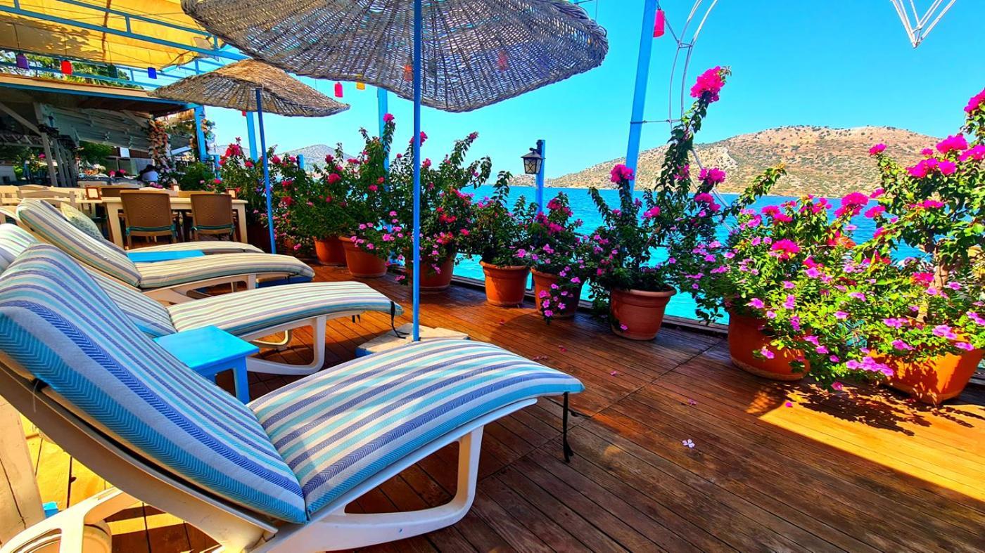 Aphrodite Hotel בוזבורון מראה חיצוני תמונה