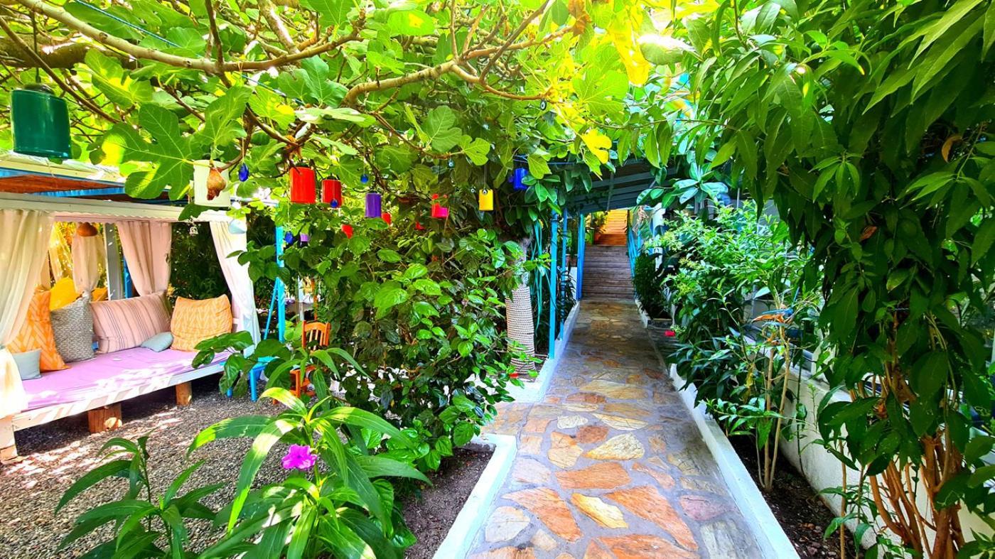Aphrodite Hotel בוזבורון מראה חיצוני תמונה